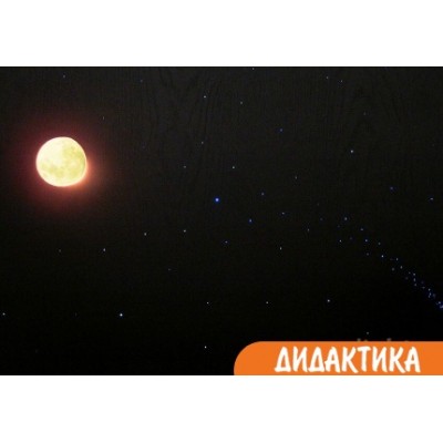 Панель (панно) интерактивная ЛУННАЯ НОЧЬ