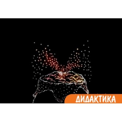Потолок ЗВЁЗДНОЕ НЕБО. Анимационный фибероптический эффект ВУЛКАН