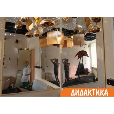 Зеркало настенное небьющееся без подсветки 149х60 см.