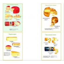 Плакаты ПРОФТЕХ "Ассортимент сыров" (9 пл, винил, 70х100)