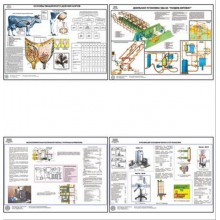 Плакаты ПРОФТЕХ "Механизация доения коров и первичная обработка молока" (15 пл, винил, 70х100)