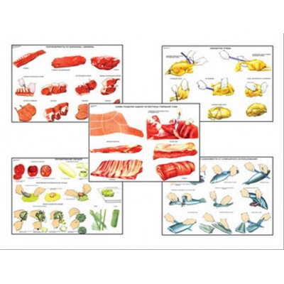 Плакаты ПРОФТЕХ "Первичная обраб. продуктов и приготовление полуфабрикатов" (15 пл, винил, 70х100)