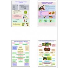Плакаты ПРОФТЕХ "Классификация овощей и переработка"   (8 пл, винил, 70х100)