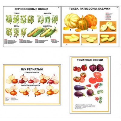 Плакаты ПРОФТЕХ "Ассортимент овощных культур" (12 пл, винил, 70х100)