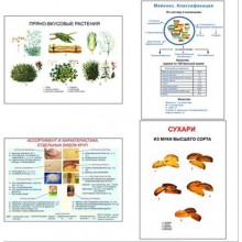 Плакаты ПРОФТЕХ "Продовольственные товары и пряности" (11 пл, винил, 70х100)