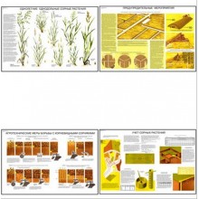 Плакаты ПРОФТЕХ "Сорные растения и меры борьбы с ними" (15 пл, винил, 70х100)