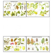 Плакаты ПРОФТЕХ "Вредители и болезни овощных культур" (17 пл, винил, 70х100)