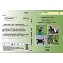 Компакт-диск "Основные отряды птиц" 1 ч.