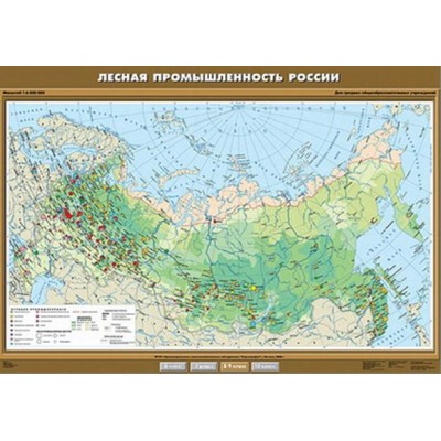 Учебн. карта "Лесная промышленность России" 100х140