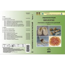 Компакт-диск "Биология. Анатомия и морфология растений"1ч. (16 опытов, 29 мин.) (DVD)