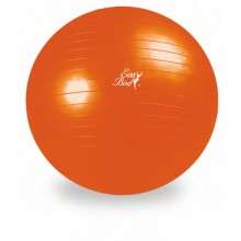 Мяч массажный с насосом Easy Body 1766EG-2 N/C р65см