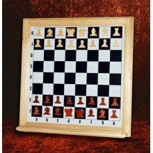 Шахматы настенные демонстрационные 810*810