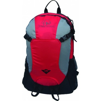 Рюкзак Greenwood 20L