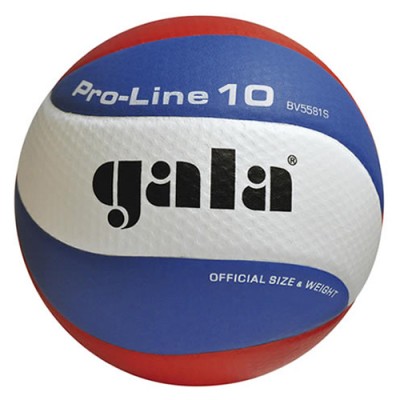 Мяч волейб. матч. GALA Pro-Line 10 , арт. BV5581S, р. 5, синт. кожа (микрофибра) с микроуглубл.Dimple, бут. камера, нейл. корд, клееный, 10 пан., бело-голубо-красный