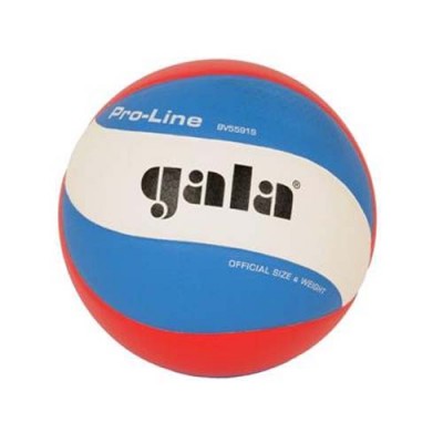 Мяч волейб. проф. GALA Pro-Line 10 FIVB арт. BV5591S, р. 5, одобрен FIVB (сертификат FIVB Approved) для провед.соревнов.высшего уровня, синт.кожа (микрофибра) с микроугублениями, клееный, бут. камера, нейл. корд, 10 пан., бело-голубо-красный