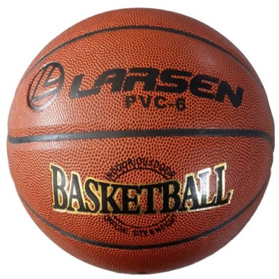 Мяч баскетбольный Larsen PVC6